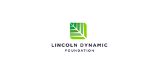 Lincoln Dynamic Foundation